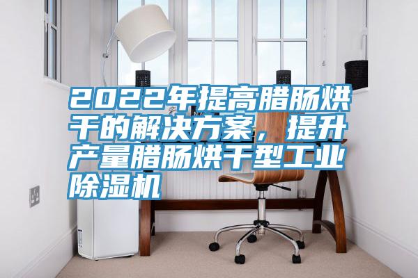 2022年提高臘腸烘干的解決方案，提升產(chǎn)量臘腸烘干型工業(yè)除濕機(jī)