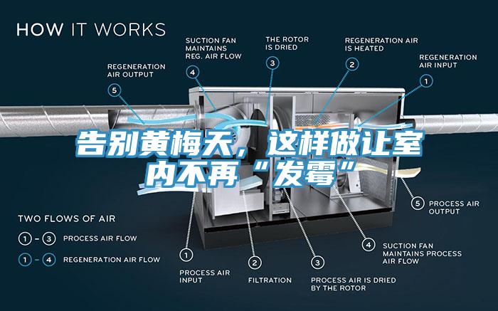 告別黃梅天，這樣做讓室內(nèi)不再“發(fā)霉”