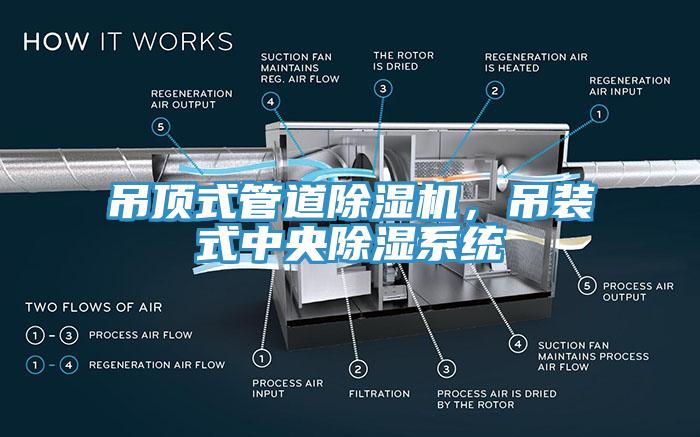 吊頂式管道除濕機(jī)，吊裝式中央除濕系統(tǒng)