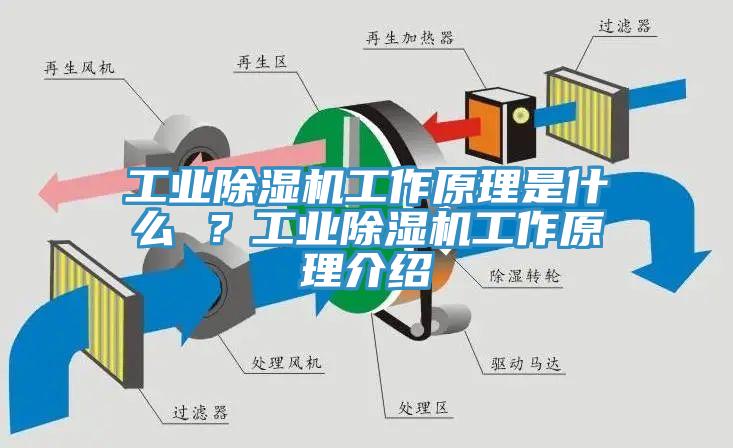 工業(yè)除濕機工作原理是什么 ？工業(yè)除濕機工作原理介紹