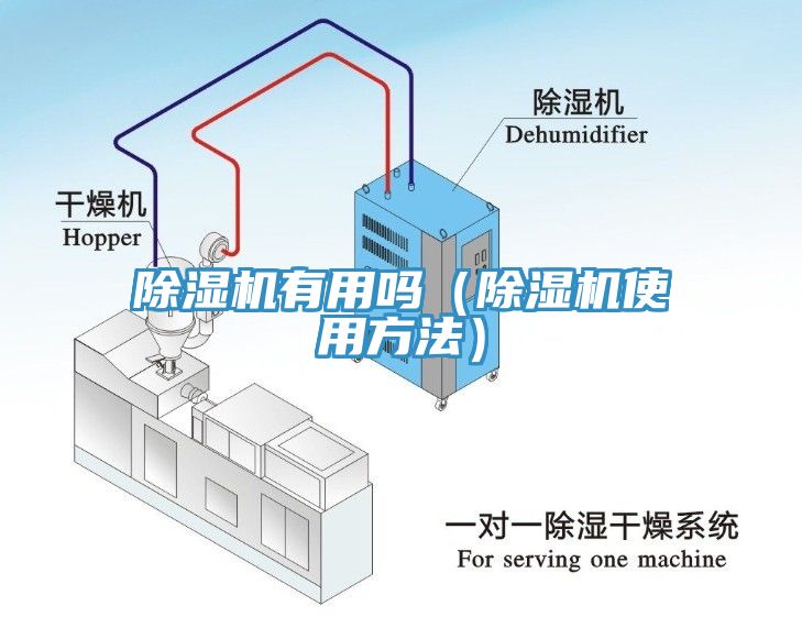 除濕機有用嗎（除濕機使用方法）