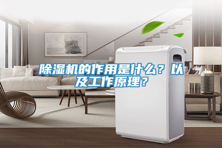 除濕機的作用是什么？以及工作原理？