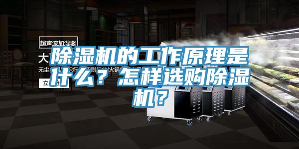 除濕機的工作原理是什么？怎樣選購除濕機？