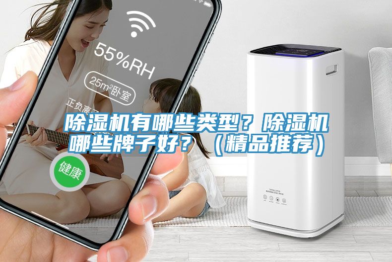 除濕機有哪些類型？除濕機哪些牌子好？（精品推薦）